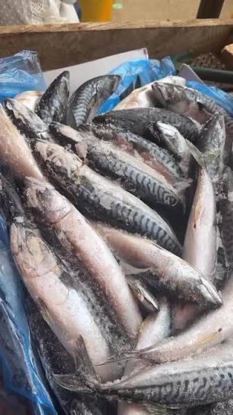 Ibru Sea Foods Limited